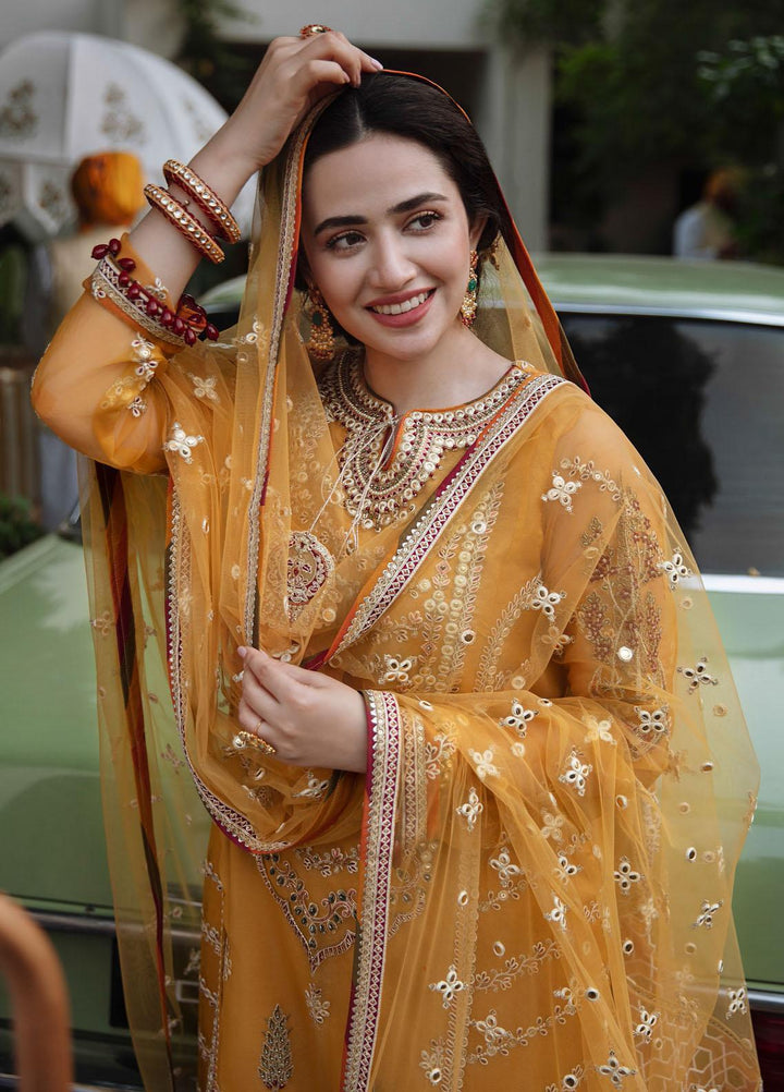 Qalamkar Embroidered Organza Suits Unstitched 3 Piece QLM21SH SM-02 - Formals Collection