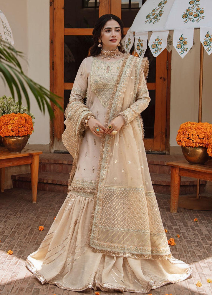 Qalamkar Embroidered Cotton Net Suits Unstitched 3 Piece QLM21SH SM-07 - Formals Collection