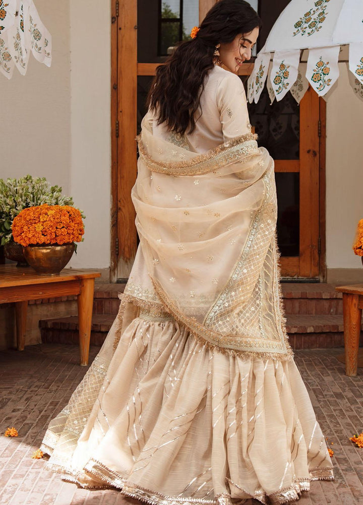 Qalamkar Embroidered Cotton Net Suits Unstitched 3 Piece QLM21SH SM-07 - Formals Collection