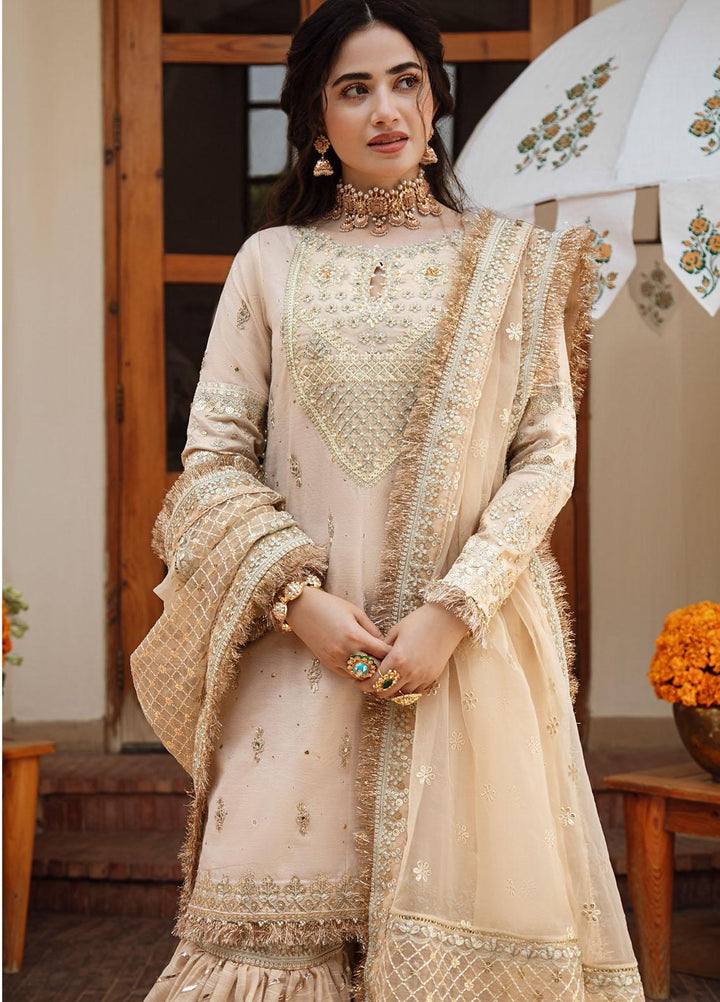 Qalamkar Embroidered Cotton Net Suits Unstitched 3 Piece QLM21SH SM-07 - Formals Collection