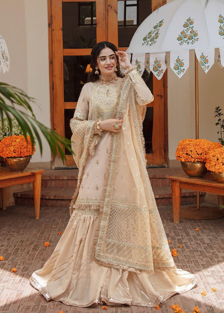 Qalamkar Embroidered Cotton Net Suits Unstitched 3 Piece QLM21SH SM-07 - Formals Collection