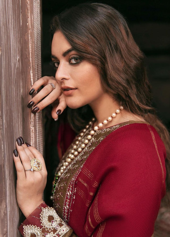 Qalamkar Embroidered Raw Silk Suits Unstitched 3 Piece QLM21WS KK-08 - Winter Collection