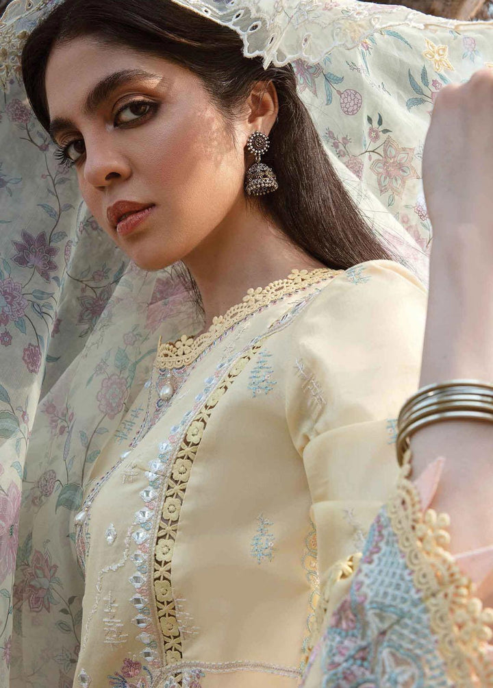 Qline by Qalamkar Embroidered Lawn Suits Unstitched 3 Piece QLM23Q AK-02 Vida - Luxury Collection