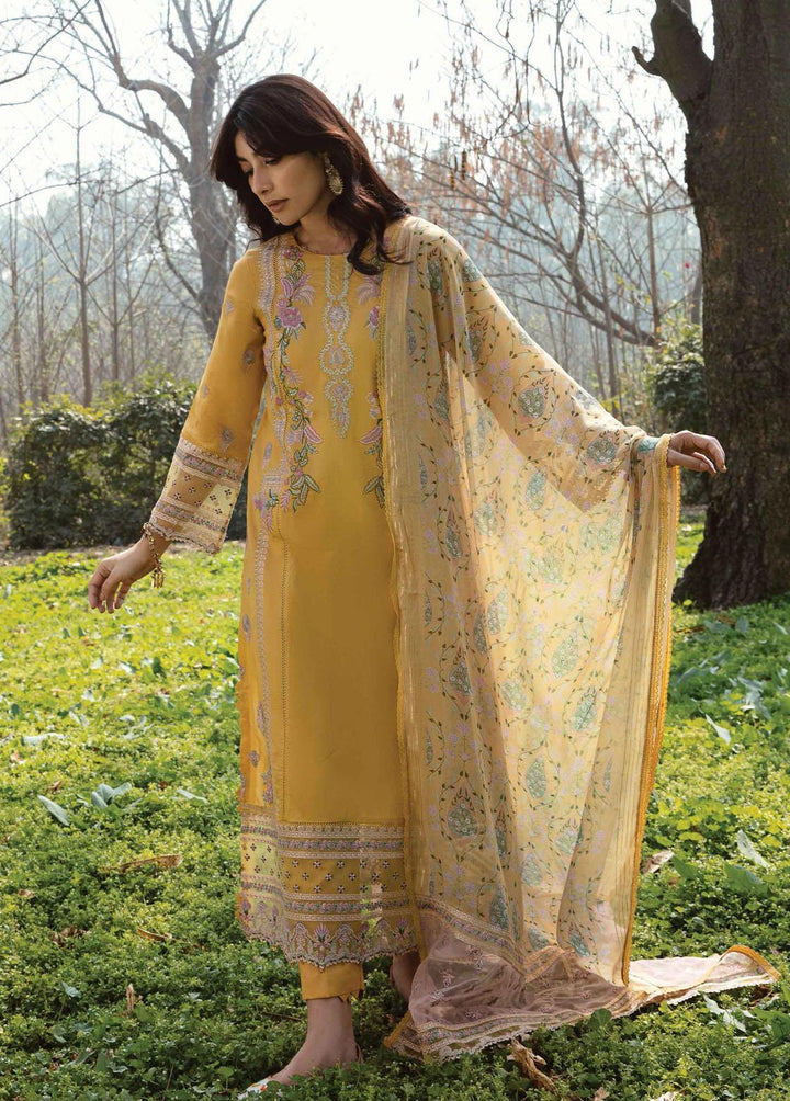 Qline by Qalamkar Embroidered Lawn Suits Unstitched 3 Piece QLM23Q AK-09 Mahrosh - Luxury Collection