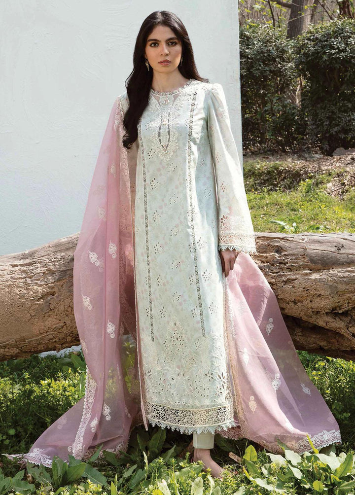 Qline by Qalamkar Embroidered Lawn Suits Unstitched 3 Piece QLM23Q AK-12 Giza - Luxury Collection