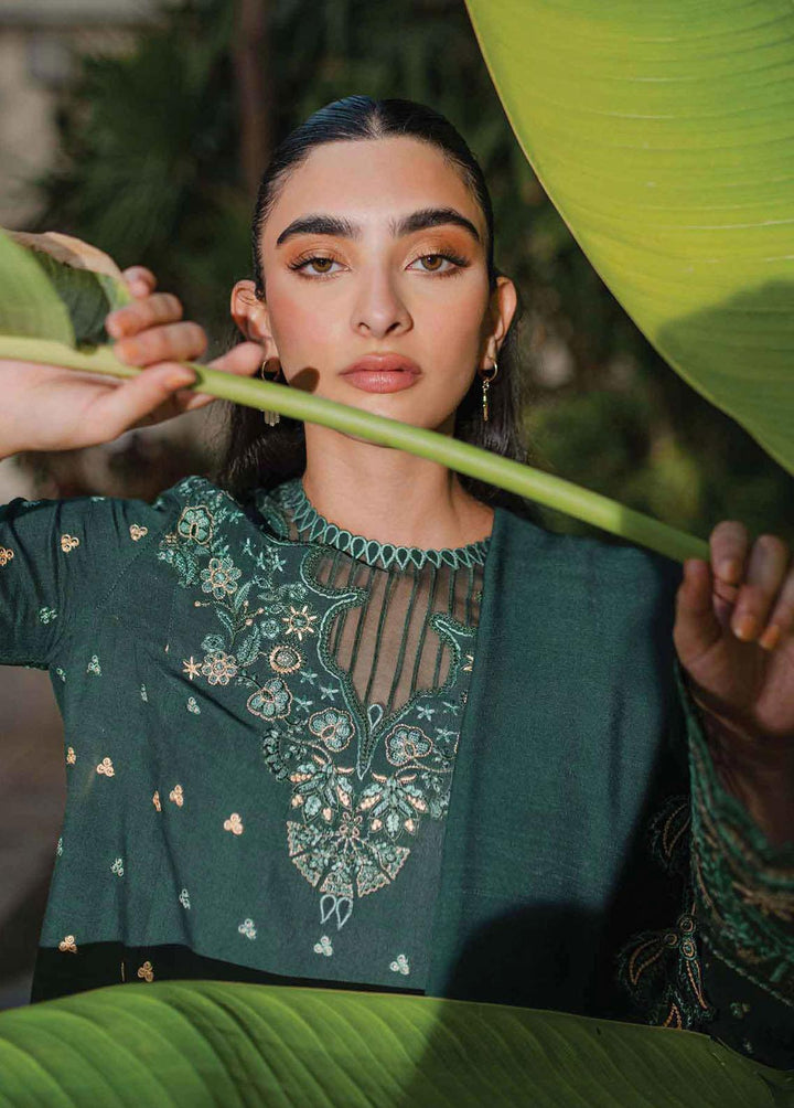 Qline By Qalamkar Embroidered Linen Suits Unstitched 3 Piece QLM23LN WL-05 Aurora - Winter Collection