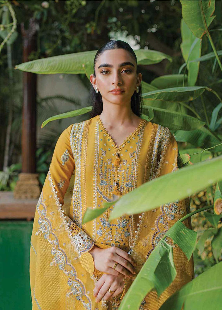 Qline By Qalamkar Embroidered Linen Suits Unstitched 3 Piece QLM23LN WL-09 Valeria - Winter Collection