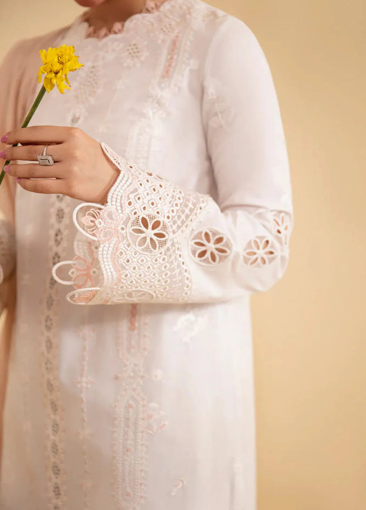 Qlinekari By Qalamkar Chikankari Lawn Suit Unstitched 3 Piece QLM24QK SQ-07 Carmin - Summer Collection