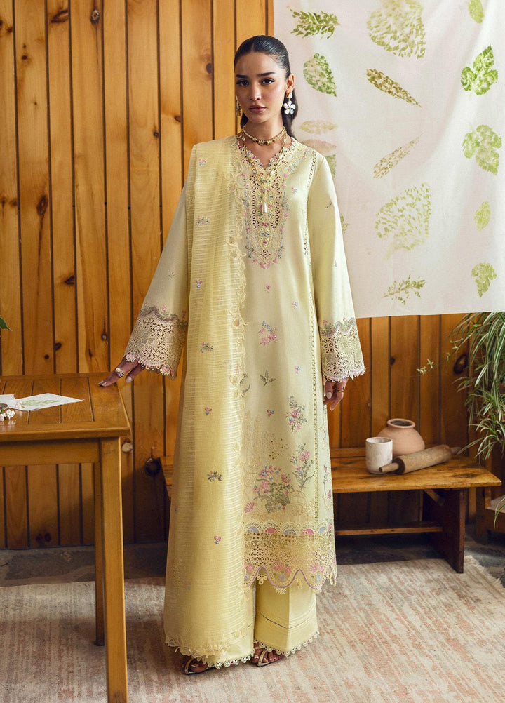 Qlinekari by Qalamkar Embroidered Lawn Suits Unstitched 3 Piece QLM25QK DC-04 Keva - Summer Collection