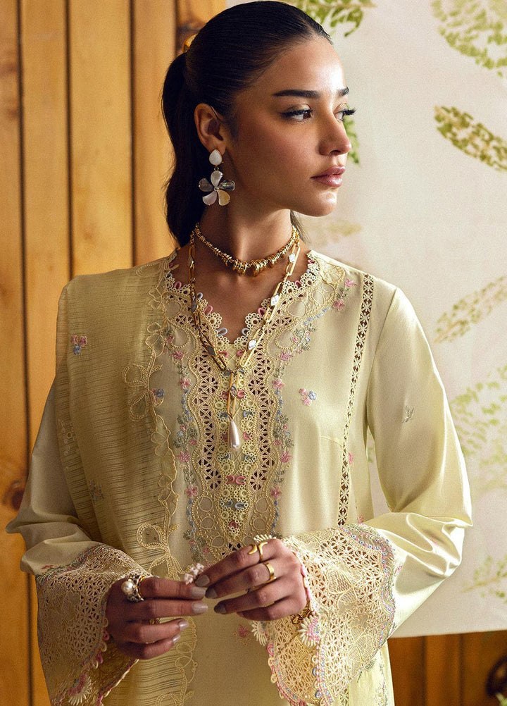 Qlinekari by Qalamkar Embroidered Lawn Suits Unstitched 3 Piece QLM25QK DC-04 Keva - Summer Collection