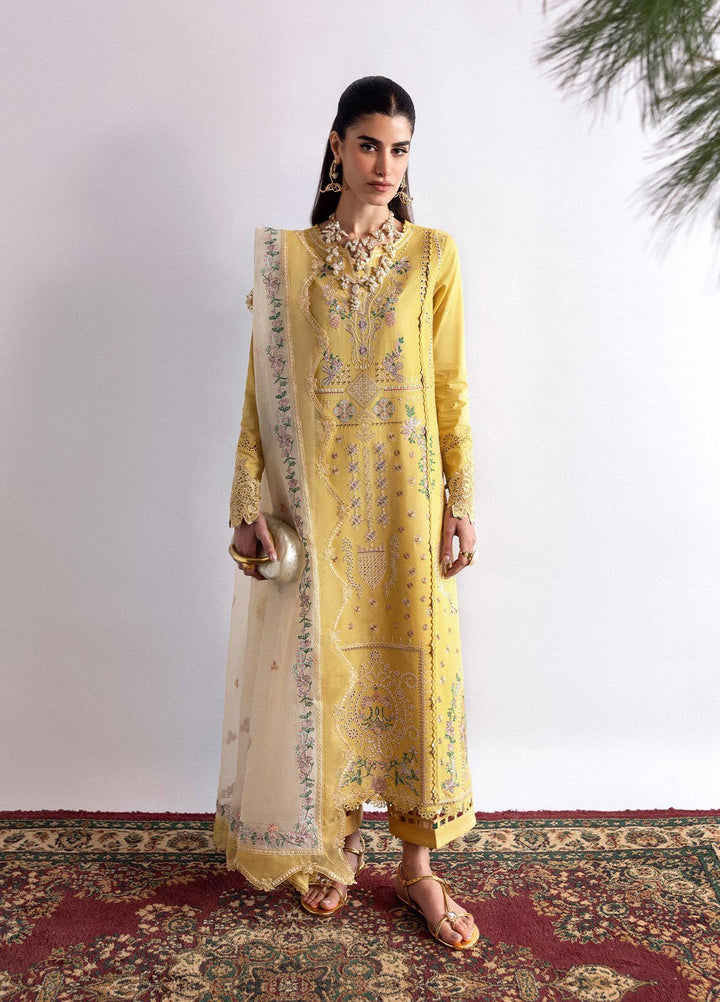 Qlinekari by Qalamkar Embroidered Lawn Suits Unstitched 3 Piece QLM25QK DC-09 Enya - Summer Collection