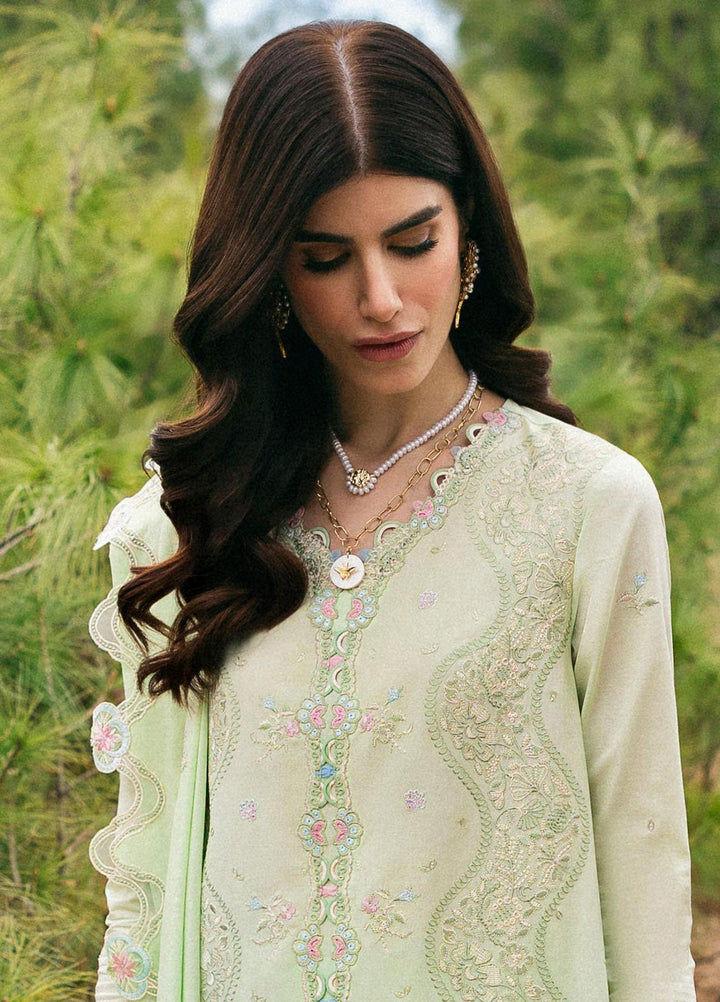 Qlinekari by Qalamkar Embroidered Lawn Suits Unstitched 3 Piece QLM25QK DC-14 Meline - Summer Collection