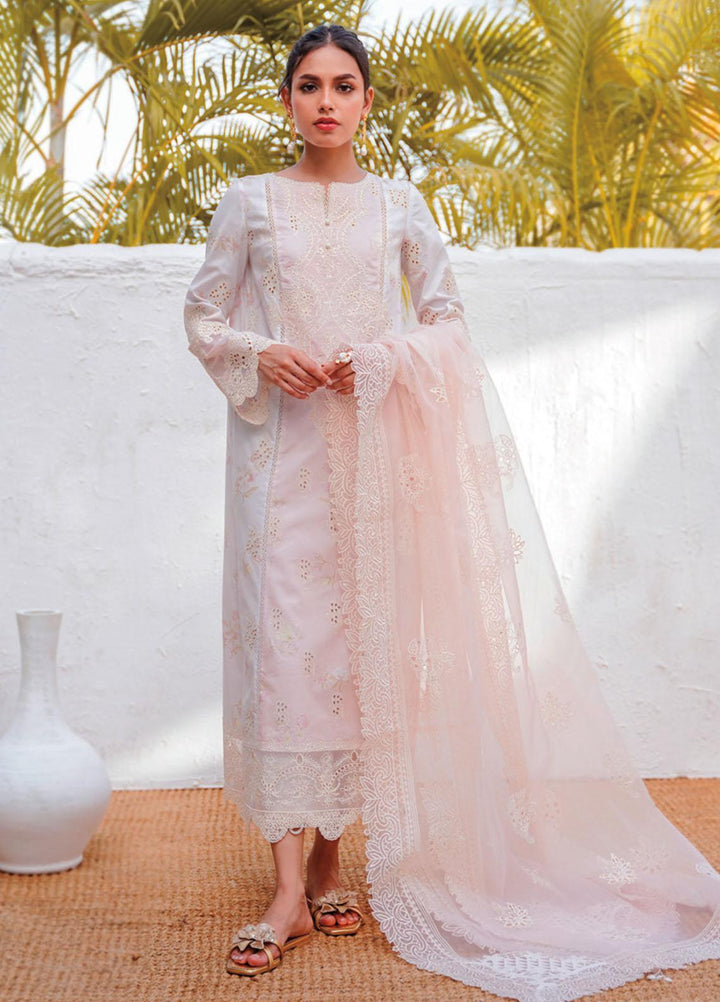 Qlinekari By Qalamkar Embroidered Chikankari Suits Unstitched 3 Piece QLM23QL RT-02 Eliza - Summer Collection