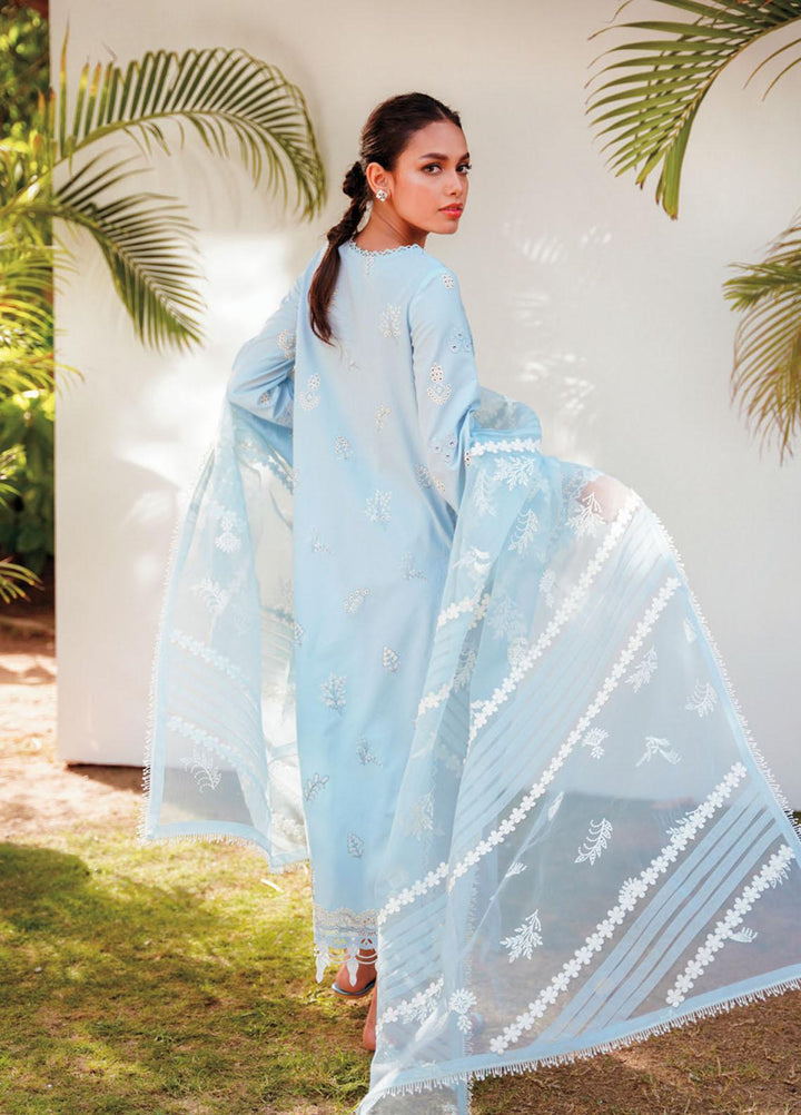 Qlinekari By Qalamkar Embroidered Chikankari Suits Unstitched 3 Piece QLM23QL RT-05 Kaya - Summer Collection