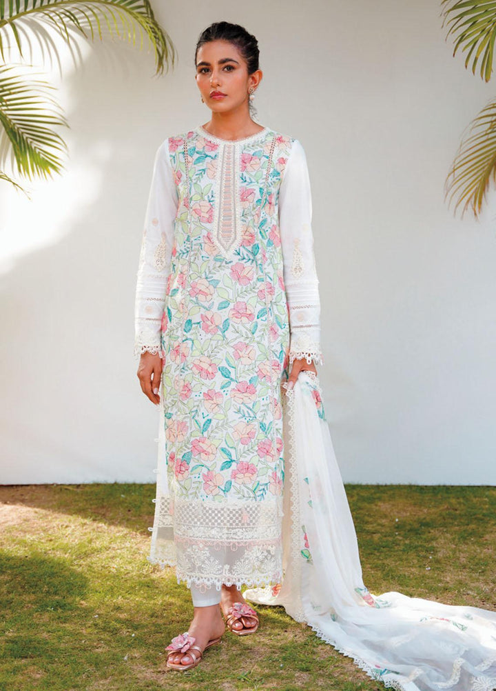 Qlinekari By Qalamkar Embroidered Chikankari Suits Unstitched 3 Piece QLM23QL RT-06 Amari - Summer Collection