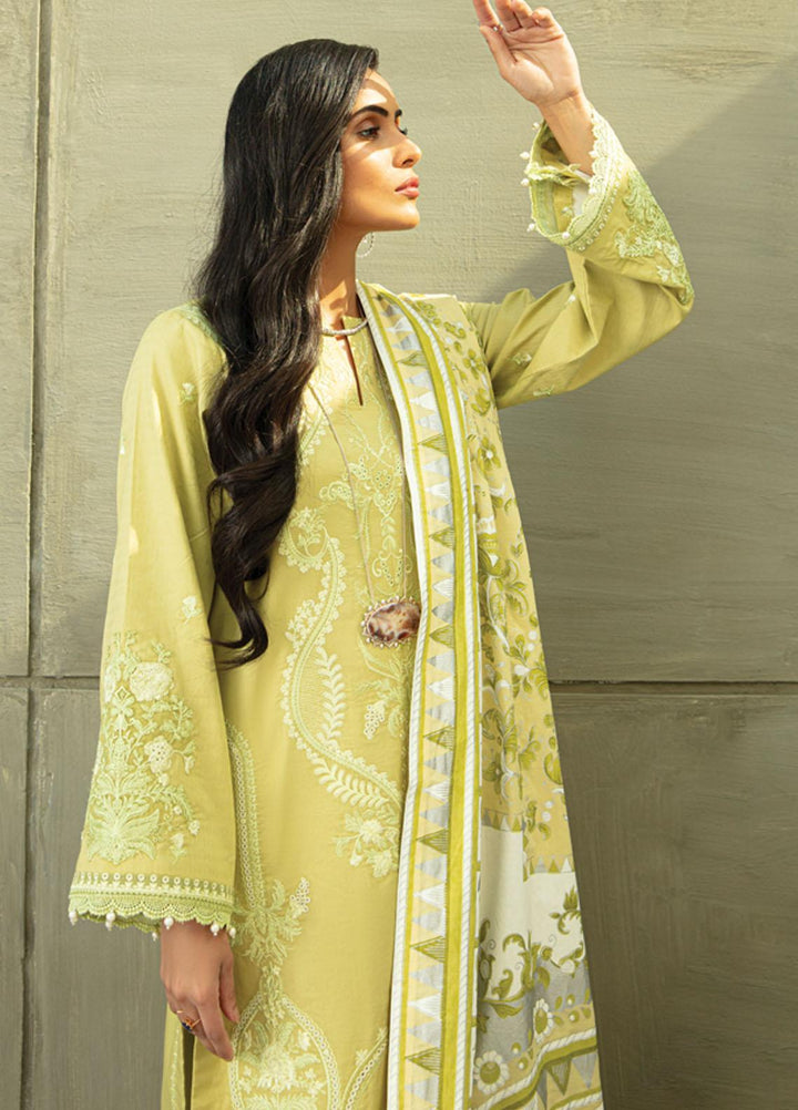 Raaya by Rang Rasiya Embroidered Lawn Suits Unstitched 3 Piece RY22CL D-05 BERYL - Summer Collection
