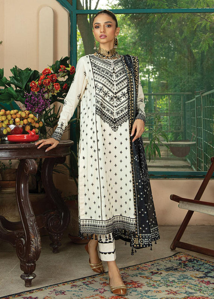 Raaya by Rang Rasiya Embroidered Lawn Suits Unstitched 3 Piece RRR22E D-2 Black Pearl - Eid Collection