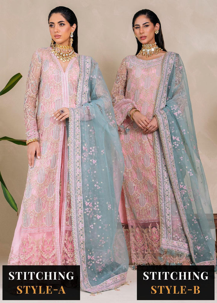 Raha By Muneefa Naz Embroidered Net Suits Unstitched 4 Piece MN23RH Leila - Wedding Collection