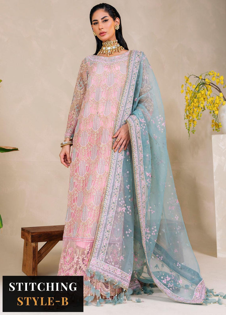 Raha By Muneefa Naz Embroidered Net Suits Unstitched 4 Piece MN23RH Leila - Wedding Collection