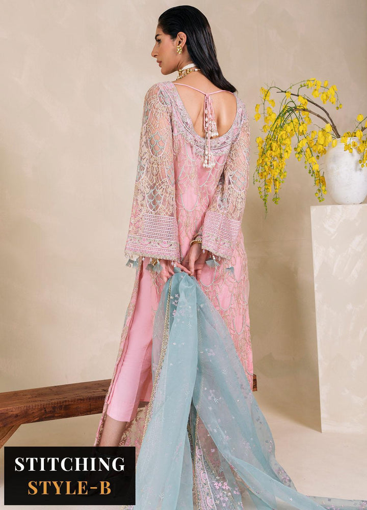 Raha By Muneefa Naz Embroidered Net Suits Unstitched 4 Piece MN23RH Leila - Wedding Collection