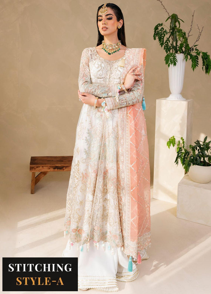 Raha By Muneefa Naz Embroidered Net Suits Unstitched 4 Piece MN23RH Ivory - Wedding Collection