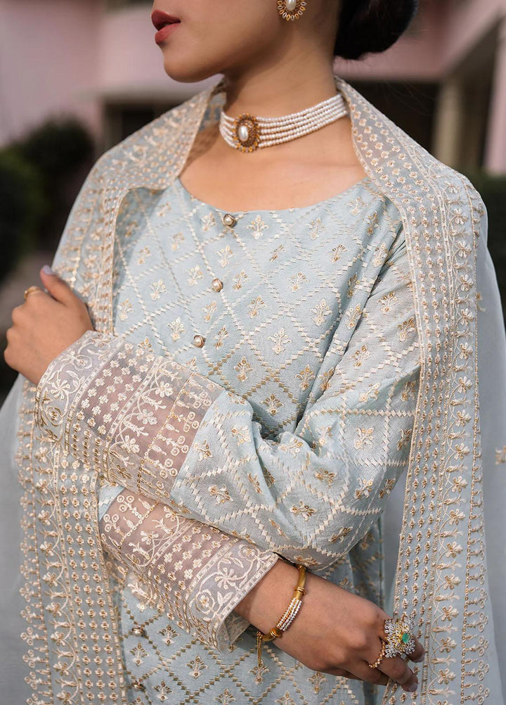 Raha By Muraad Embroidered Cotton Net Suits Unstitched 4 Piece MU23R Rohma - Festive Collection