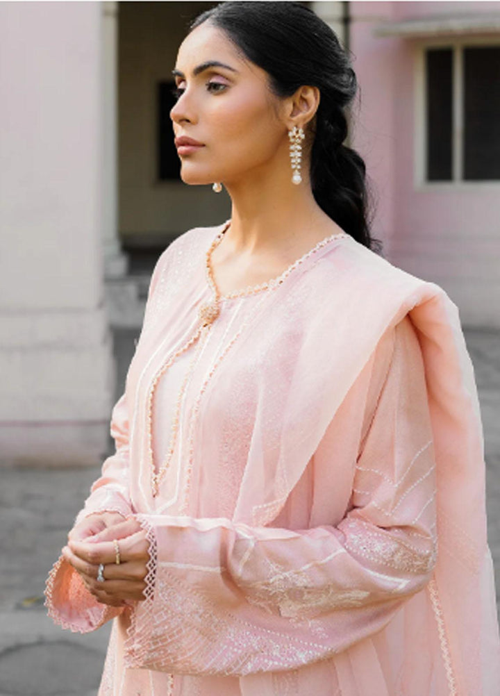 Raha By Muraad Embroidered Cotton Net Suits Unstitched 4 Piece MU23R Eliana - Festive Collection
