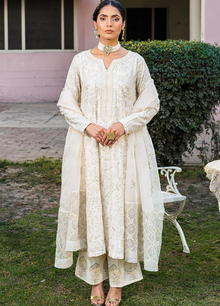 Raha By Muraad Embroidered Cotton Net Suits Unstitched 4 Piece MU23R Aria - Festive Collection