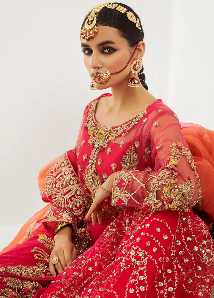 Raj Kumari By Mashq Embroidered Net Suits Unstitched 3 Piece MAQ23RK QFD0059 Jan-e-Ada - Luxury Collection