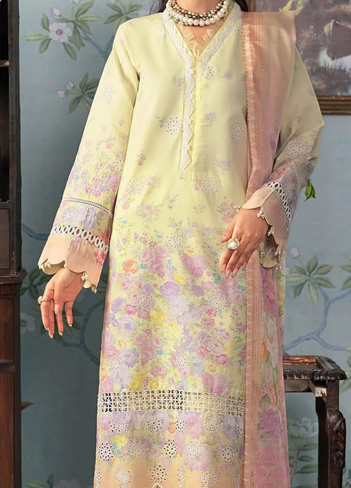 Rajbari Embroidered Chikan Suit Unstitched 3 Piece RB24C D-01 - Summer Collection