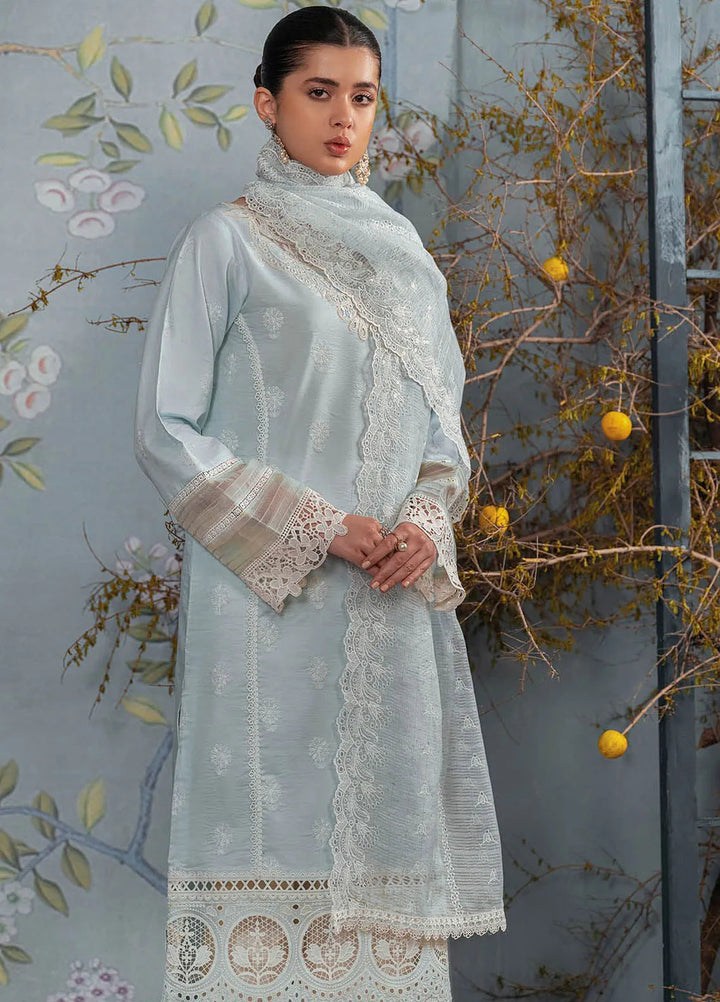 Rajbari Embroidered Chikan Suit Unstitched 3 Piece RB24C D-05 - Summer Collection