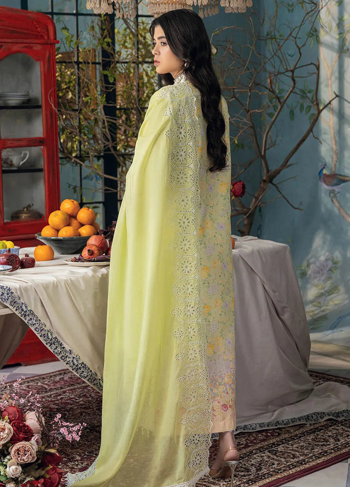 Rajbari Embroidered Chikan Suit Unstitched 3 Piece RB24C D-07 - Summer Collection