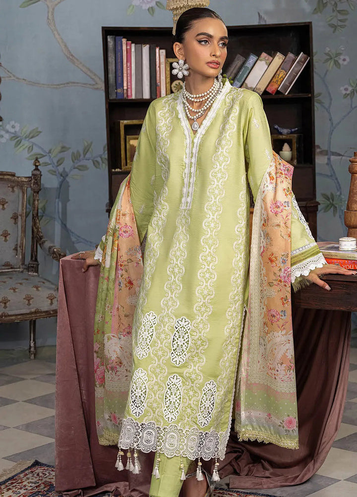 Rajbari Embroidered Chikan Suit Unstitched 3 Piece RB24C D- 11 - Summer Collection