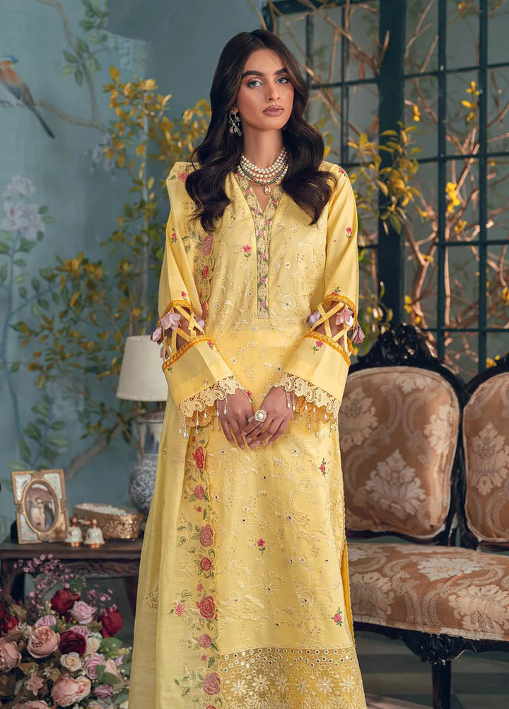 Rajbari Embroidered Chikan Suit Unstitched 3 Piece RB24C D- 12 - Summer Collection