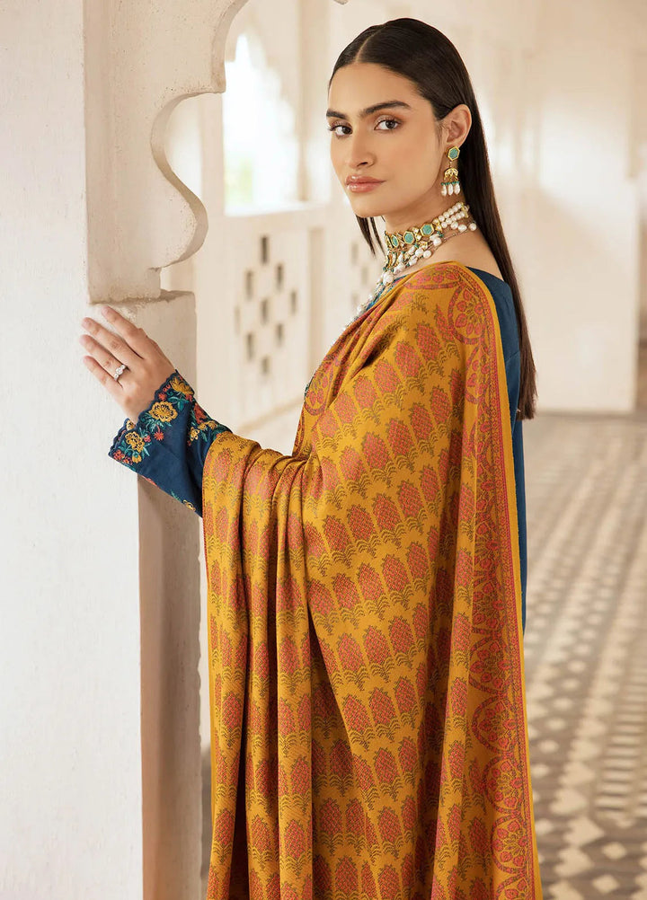 Rajbari Embroidered Karandi Suit Unstitched 3 Piece RB24W 2A - Winter Collection