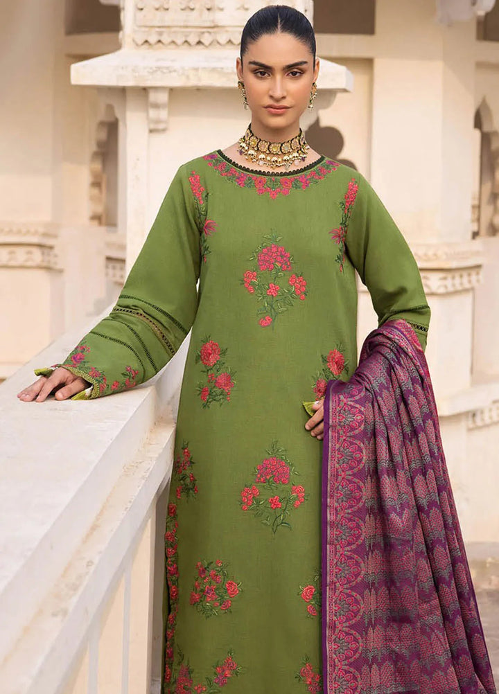 Rajbari Embroidered Karandi Suit Unstitched 3 Piece RB24W 2B - Winter Collection
