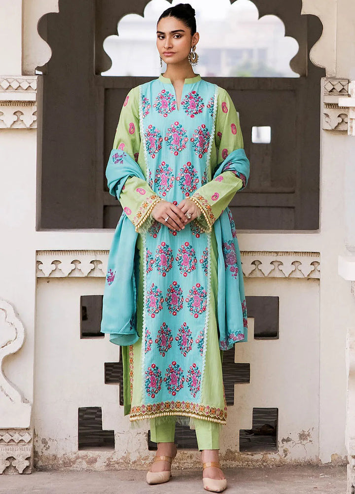 Rajbari Embroidered Khaddar Suit Unstitched 3 Piece RB24W 3B - Winter Collection