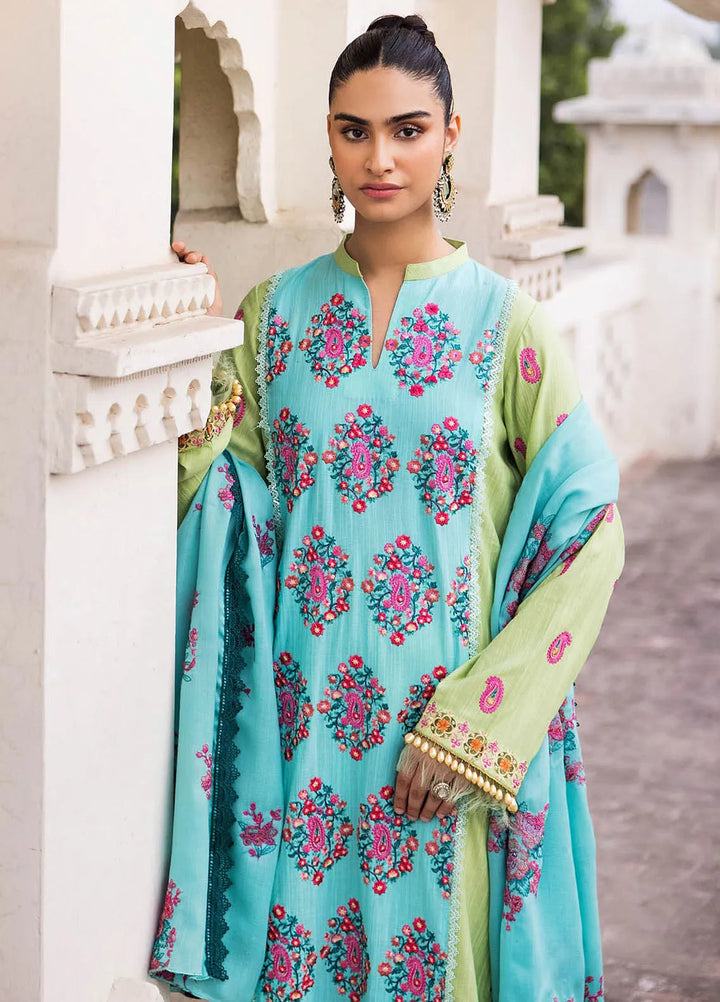 Rajbari Embroidered Khaddar Suit Unstitched 3 Piece RB24W 3B - Winter Collection