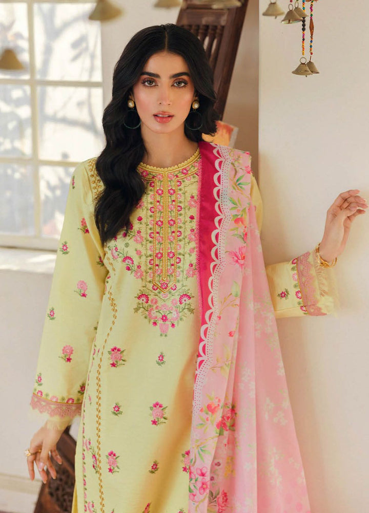 RajBari Embroidered Lawn Suits Unstitched 3 Piece RB24ES D-01 - Summer Collection