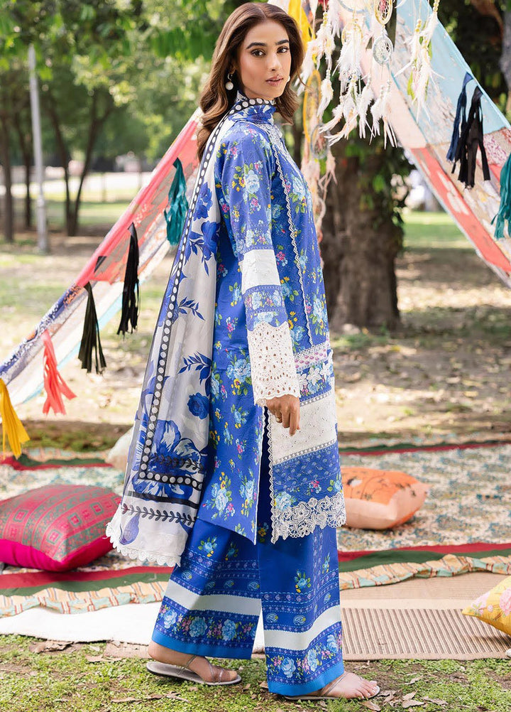 Rajbari Embroidered Lawn Suits Unstitched 3 Piece RB25SP D-06 - Summer Collection