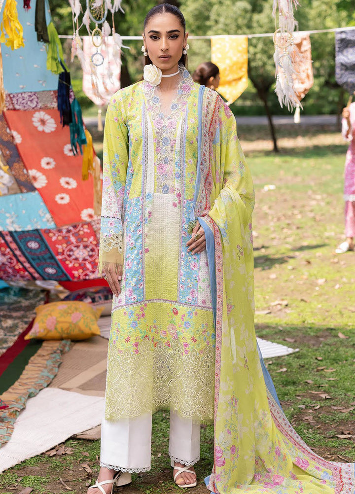 Rajbari Embroidered Lawn Suits Unstitched 3 Piece RB25SP D-09 - Summer Collection