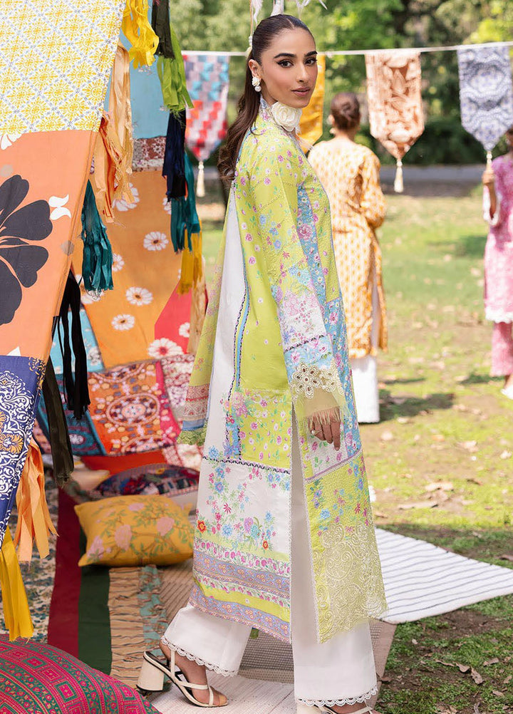 Rajbari Embroidered Lawn Suits Unstitched 3 Piece RB25SP D-09 - Summer Collection