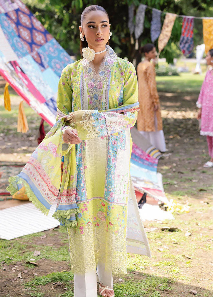 Rajbari Embroidered Lawn Suits Unstitched 3 Piece RB25SP D-09 - Summer Collection