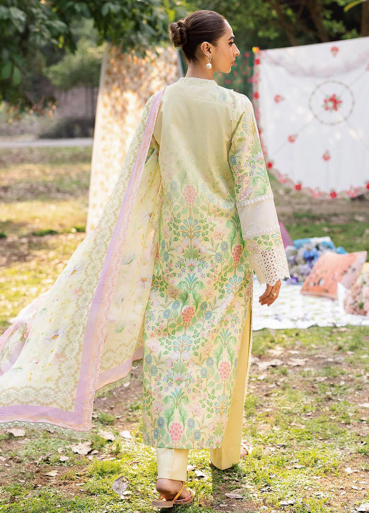 Rajbari Embroidered Lawn Suits Unstitched 3 Piece RB25SP D-11 - Summer Collection