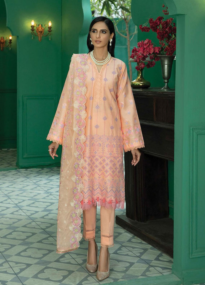 RajBari Embroidered Chikankari Suits Unstitched 3 Piece RB22CK 03 Zark - Spring / Summer Collection