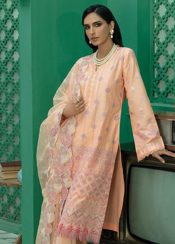 RajBari Embroidered Chikankari Suits Unstitched 3 Piece RB22CK 03 Zark - Spring / Summer Collection