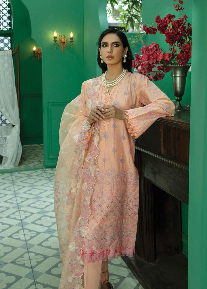 RajBari Embroidered Chikankari Suits Unstitched 3 Piece RB22CK 03 Zark - Spring / Summer Collection