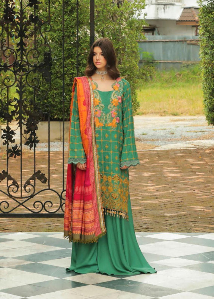 RajBari Embroidered Karandi Suits Unstitched 3 Piece RB22K 3B - Premium Collection