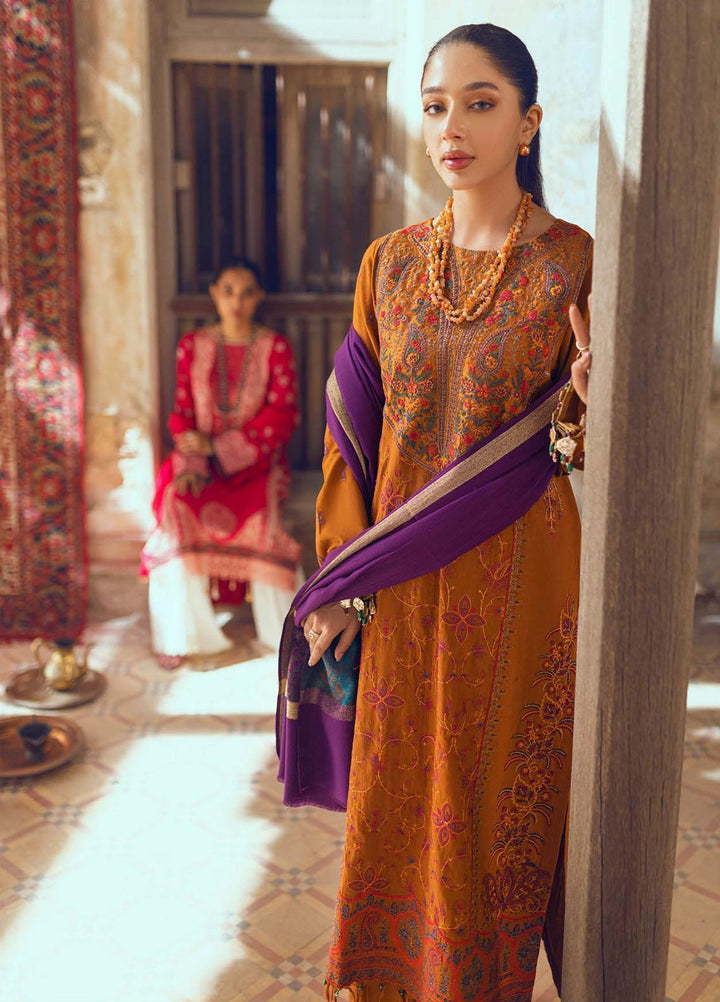 RajBari Embroidered Khaddar Suits Unstitched 3 Piece RB22WE 2B - Winter Collection