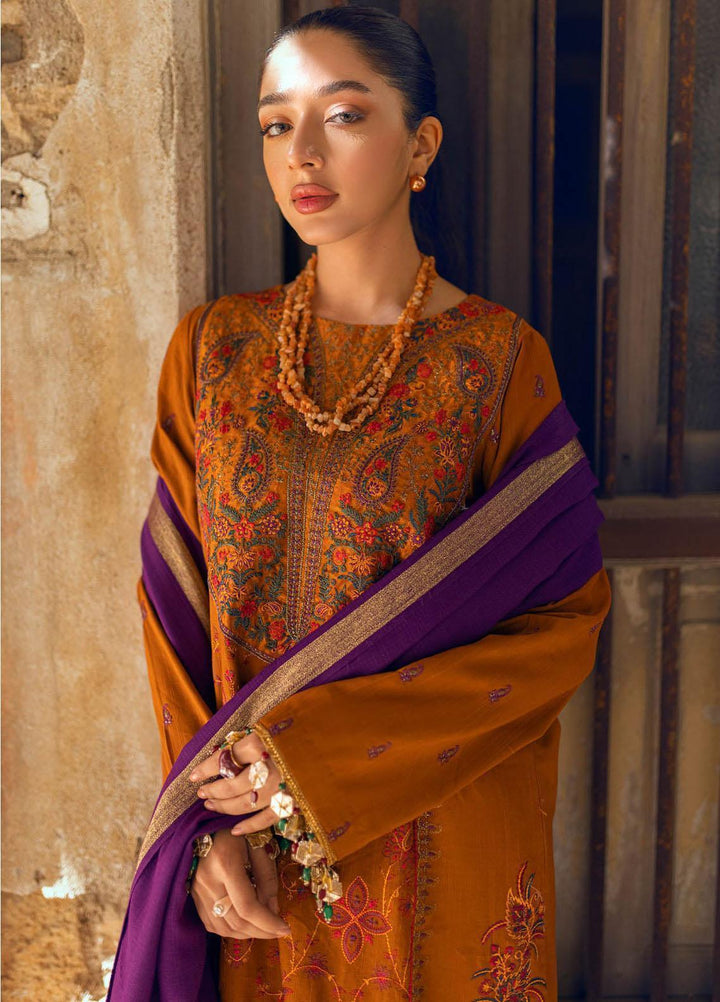 RajBari Embroidered Khaddar Suits Unstitched 3 Piece RB22WE 2B - Winter Collection